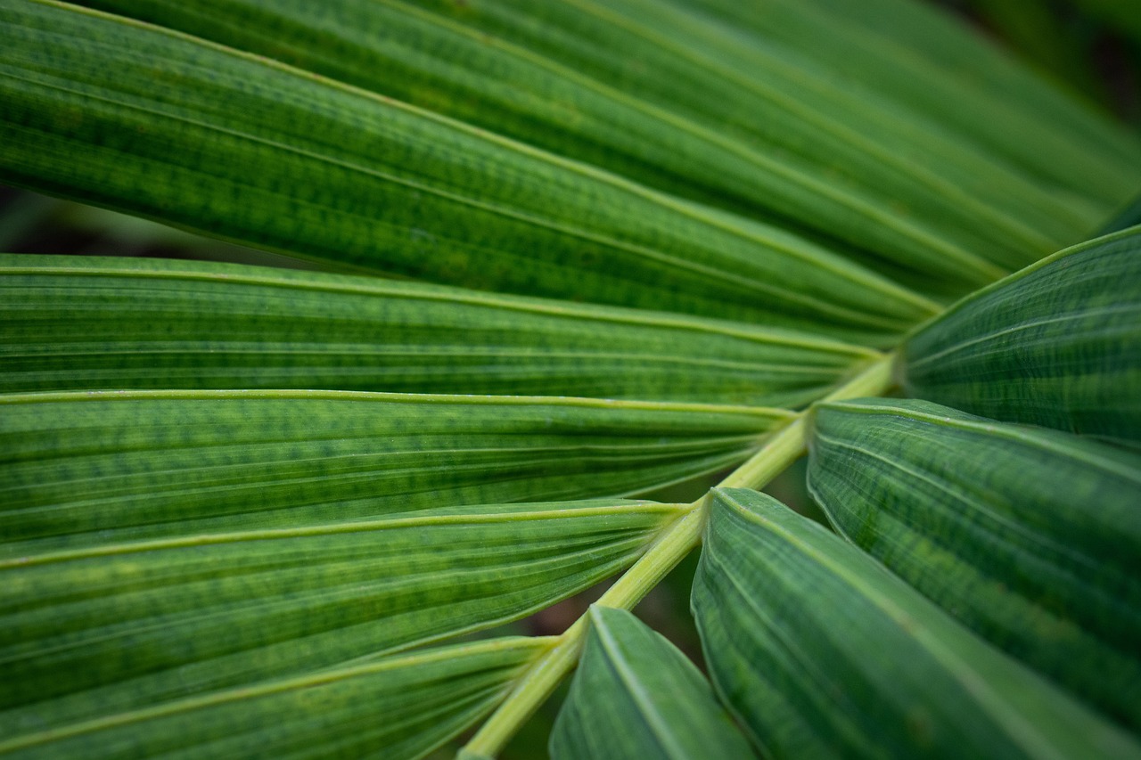 Green Residential Areas: Healthy Living in Urban Settings